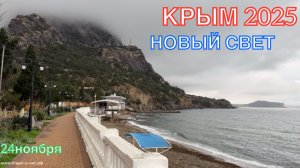 КРЫМ 2025 | НОВЫЙ СВЕТ | 24 ноября ❤️🏖️🐬☀️⛰️🌊🏄♂️