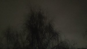 дождь ☔ и снег ❄️ в ночь на 26 ноября как обещал волшебник