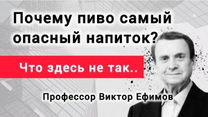Мирового правительства не существует. Профессор Виктор Ефимов.