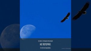 Плач старого ворона