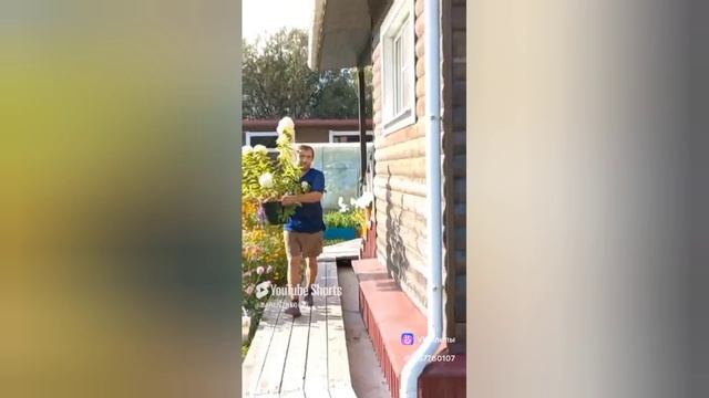 ВОСПОМИНАНИЯ О ЛЕТЕ.