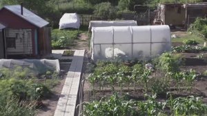 Как сделать удобные грядки