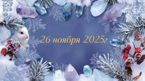 Новое поступление 26-11-2025