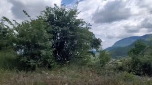 ГРЕЦИЯ Дорога из Метеоры в Дельфы(14 мая 2025).mp4