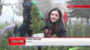 ТК "Родной". В Кировске реализуют проект «Озеленение сквера площади им. Ленина»