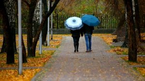 Я скучаю по тебе