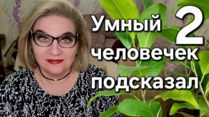 Умный человечек подсказал❗️