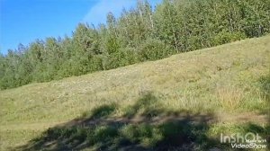 13,08.23г.(архив)Тихая охота ,в лес за груздями.