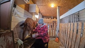 Чем мы занимаемся в деревне? Жизнь простой семьи