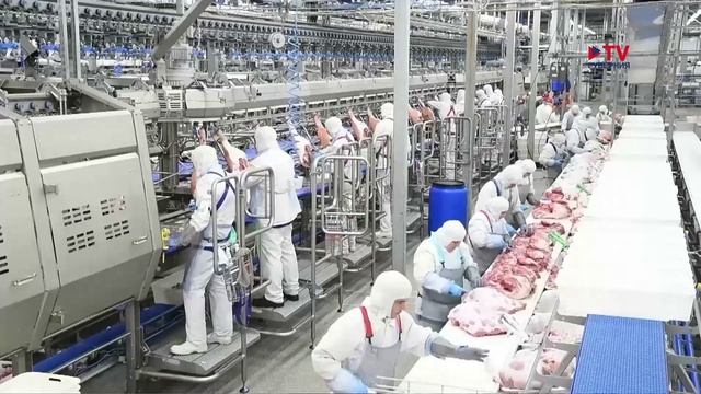 Воронежское мясоперерабатывающее предприятие наращивает экспорт с помощью роботизации, IT-технологий смотреть онлайн