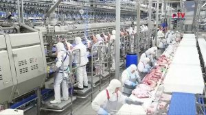 Воронежское мясоперерабатывающее предприятие наращивает экспорт с помощью роботизации, IT-технологий