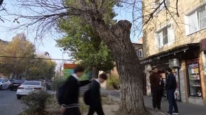 Программа "Время новостей Махачкала" от 24.11.2025