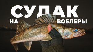 СУДАК НА ВОБЛЕРЫ. Ночная рыбалка в городе. Рабочие цвета и приманки для ночного хищника.