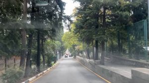 Ялта. Севастопольская, от Володарского до Гоголя улиц. 24.10.2025. Крым. Crimea. Yalta.