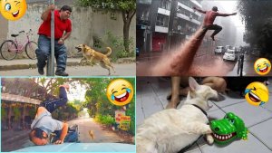 РЖАЧНЫЕ ПРИКОЛЫ СМОТРЕТЬ ВСЕМ ТОП ПОДБОРКА 2025