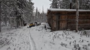 Промысел подо льдом. Установка сетей. Медведь опять шалит в избе!