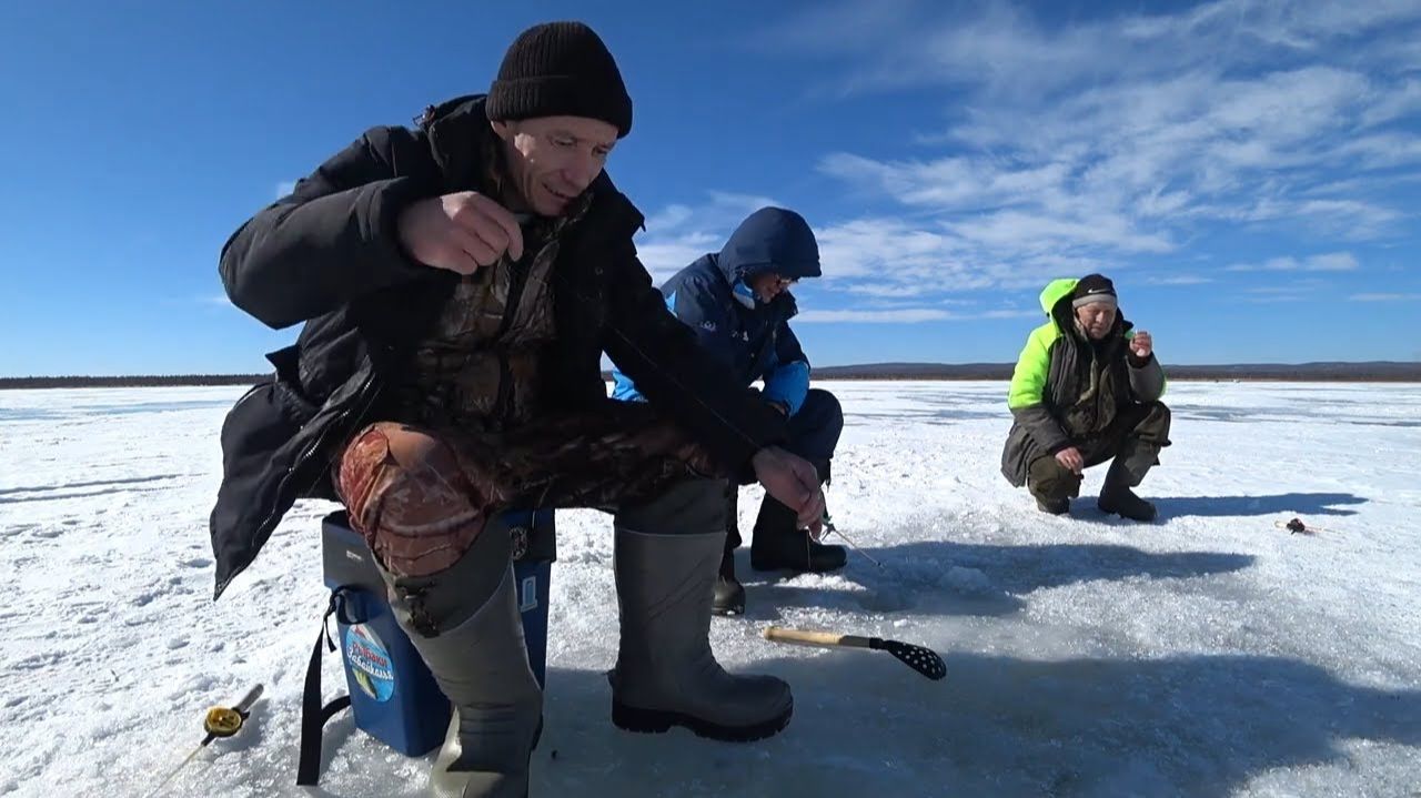 Ловля окуня смотреть онлайн