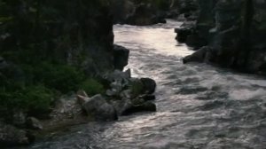 Тайга 🫶❤️🤗