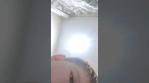 играем в пвз