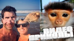 ВИДЕОПРИКОЛЫ \ КРУТЫЕ ПРИКОЛЫ 2025 \ НОВЫЕ ПРИКОЛЫ \ СМЕШНЫЕ ПРИКОЛЫ 2025 ЮМОР