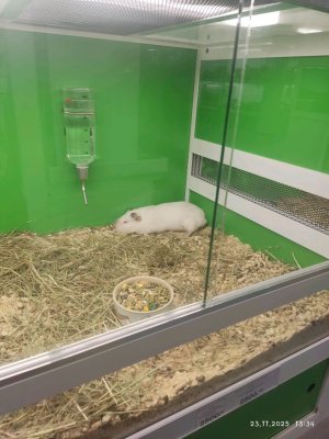 что подарить на день матери?