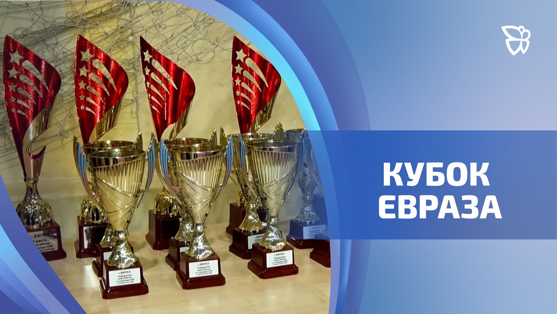 Кубок ЕВРАЗа по тхэквондо прошел в Нижнем Тагиле