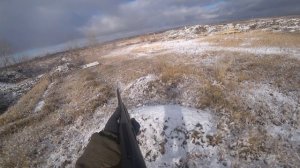 Охота на зайцев. Открытие ноябрь 2025 г. Добыл три зайца.