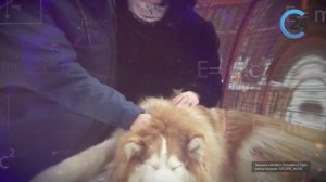 СТРАНА Росатом