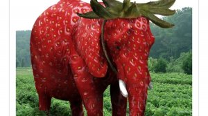 Клубничный слон.