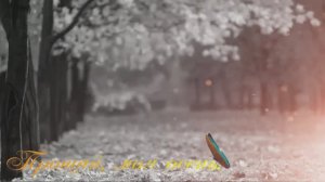 Прощай, моя осень.