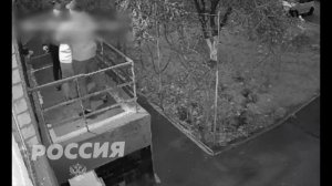 ТЦКашники поймали мужчину во время прогулки с собакой