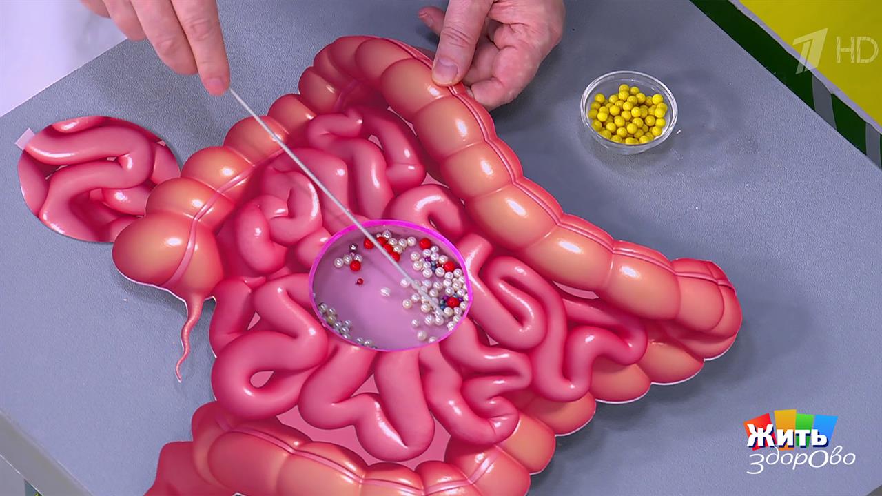 Микробы-психобиотики: с чем их едят? Жить здорово! Фрагмент выпуска от 26.11.2025