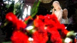 Горловская   мадонна   ст.АШевченко муз.Ф.Фартов