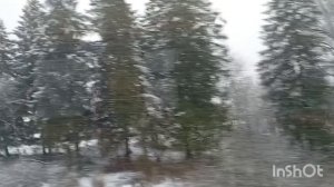 ДЕВОЧКА ПРОВОДНИЦА ГРУПП КОЛЫМА