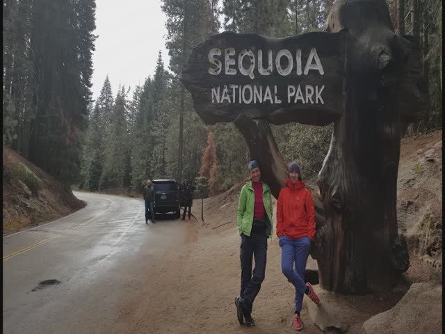 Автоамерика 2017