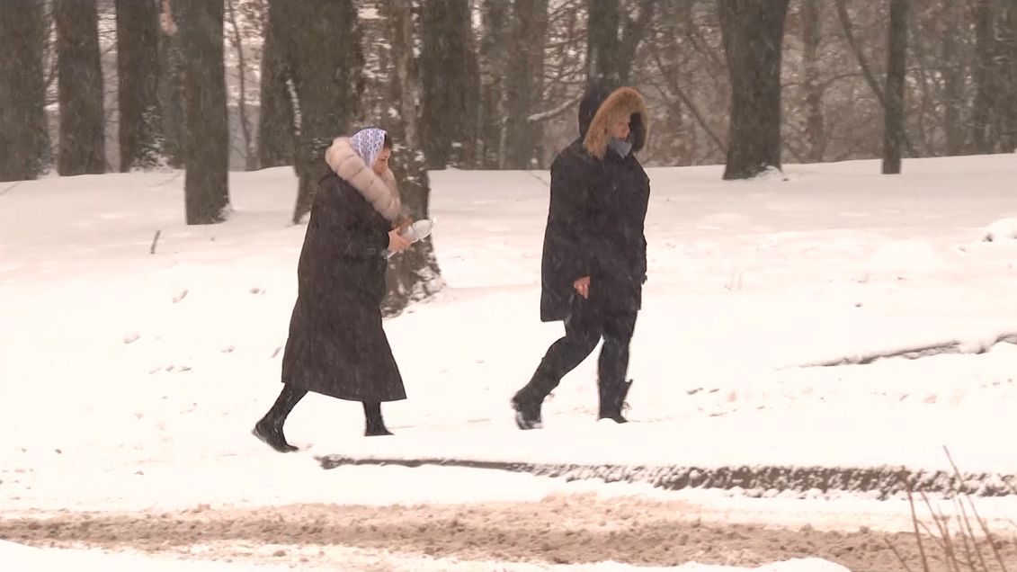 Синоптики рассказали о погоде в Вологодской области