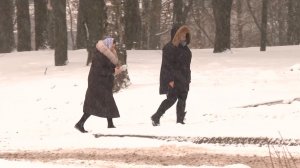 Синоптики рассказали о погоде в Вологодской области