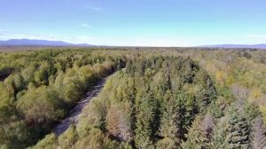 Первый полет