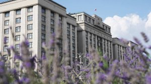 В ГД предложили установить минимальный размер алиментов