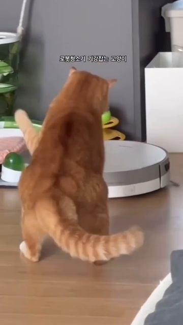 Джен Коннер против Т-1