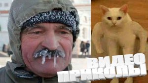 ЛУЧШИЕ ПРИКОЛЫ 2025 | ПРИКОЛЫ 2025 | СВЕЖИЕ ПРИКОЛЫ 2025 | РЖУ НЕ МОГУ |