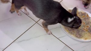 Пришло время подкрепиться и сил набраться.