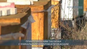 Главные новости Иркутской области, 26 ноября 2025 года