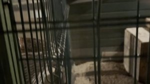 Гуляем в Президенте