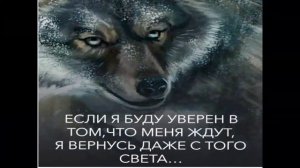 С годами привыкаеш к пустоте