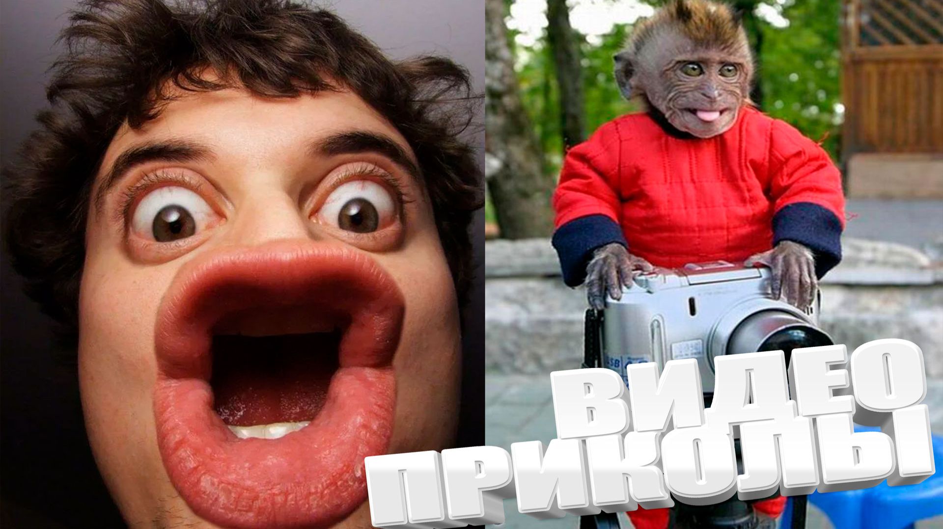 ТОПОВЫЕ ПРИКОЛЫ 2025 \ СМЕШНЫЕ ВИДЕОПРИКОЛЫ \ КАЧЕСТВЕННАЯ ПОДБОРКА ВИДЕОПРИКОЛОВ