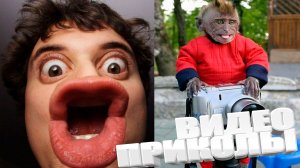 ТОПОВЫЕ ПРИКОЛЫ 2025 \ СМЕШНЫЕ ВИДЕОПРИКОЛЫ \ КАЧЕСТВЕННАЯ ПОДБОРКА ВИДЕОПРИКОЛОВ