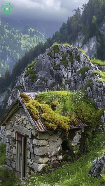 Дом мечты  (23)