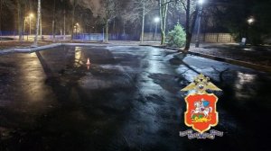 В Пушкине мать на машине насмерть сбила двухлетнюю дочь