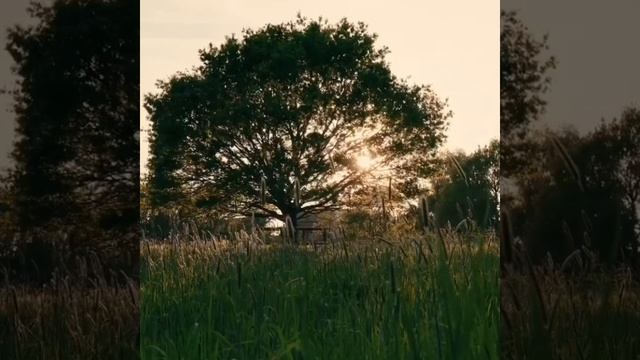 Утро благодатное 🌈Песня , пробуждающая к Жизни 🌞